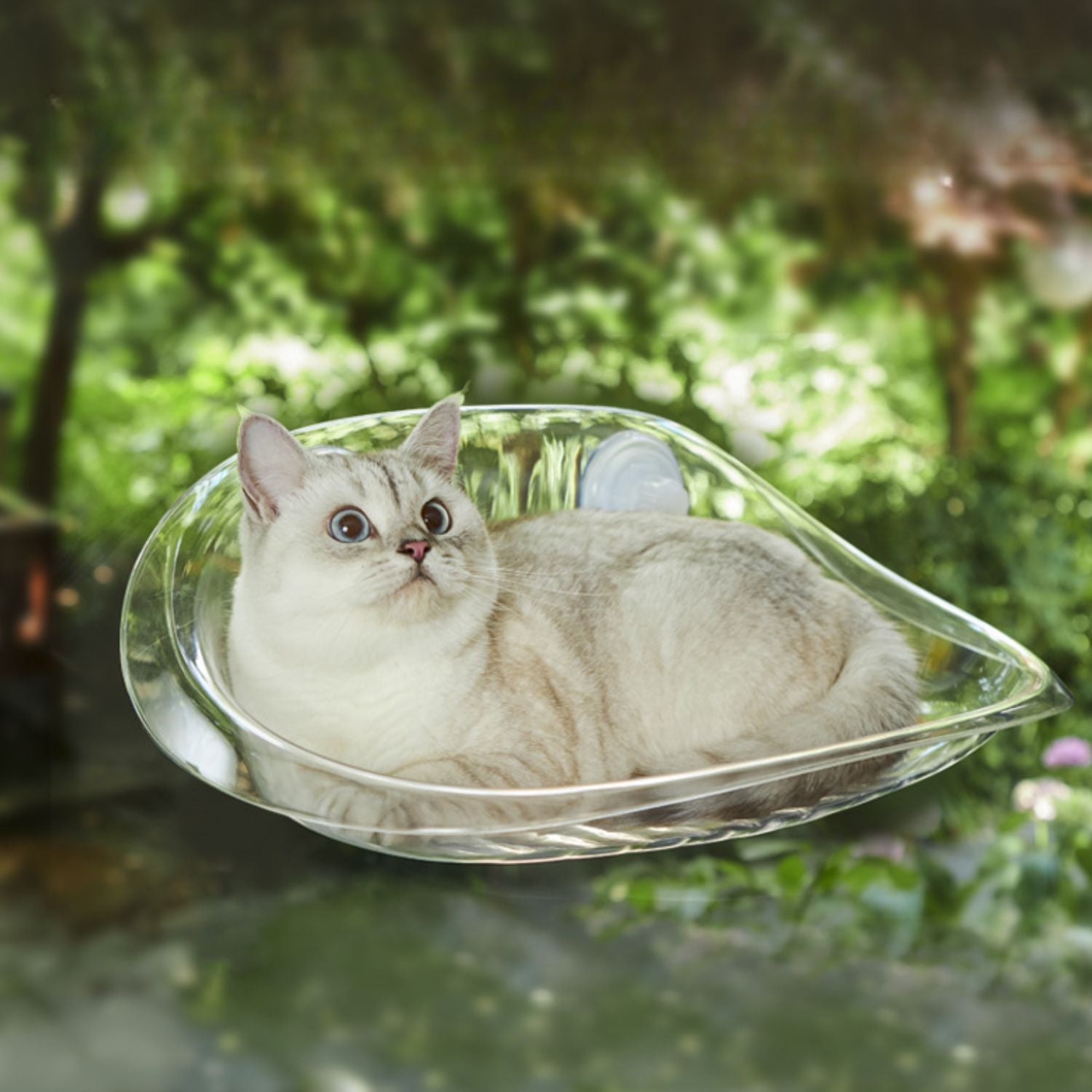 Kattenraam Hangmat doorzichtig met kat en groen uitzicht